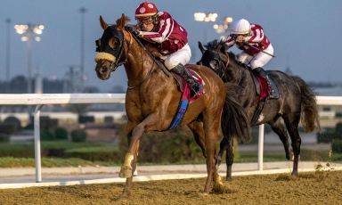 DOUBLÉ À DOHA POUR LES POULAINS DU GRAND COURGEON