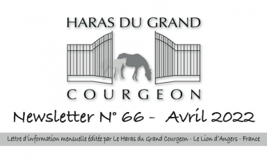 NEWSLETTER N° 66 - AVRIL 2022