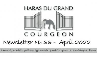 NEWSLETTER Nr 66 - APRIL 2022