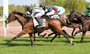 NOUVEAU VAINQUEUR AUX COULEURS DU GRAND COURGEON