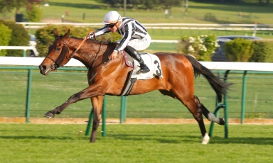 THE GRAND COURGEON COLORS IN THE LIMELIGHT AT PARISLONGCHAMP