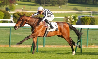 LA CASAQUE DU GRAND COURGEON S'ILLUSTRE À LONGCHAMP