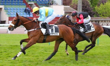 FIRST JUMP RACE SUCCESS FOR PEARL TREE