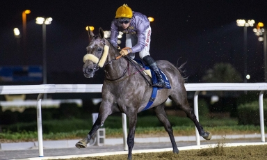 MEETHAG WINNER AT DOHA