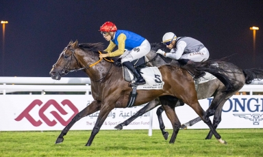 SUCCESSFUL SEASONAL REAPPEARANCE FOR JABALAH