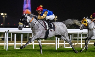 RETOUR VICTORIEUX À DOHA POUR ABBES