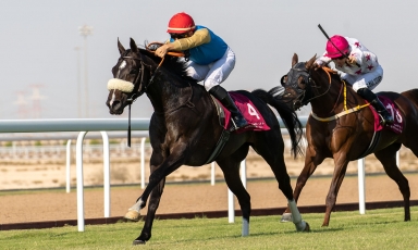 KING ALBAHAR CHOOSED AL UQDA TO OPEN HIS RECORD