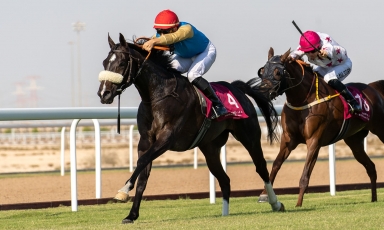 KING ALBAHAR OUVRE SON PALMARÈS À AL UQDA