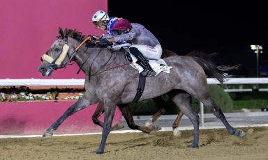 MEETHAG IN TOP SHAPE