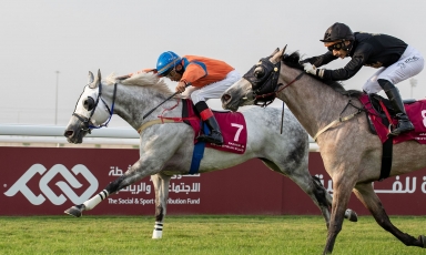 AL NEKSH COMES BACK IN THE LIMELIGHT