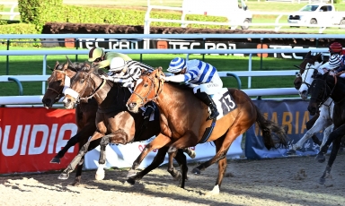 THE GRAND COURGEON SILKS IN THE LIMELIGHT AT PAU