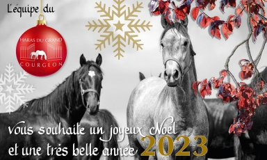 JOYEUX NOEL ET BONNE ANNÉE 2023