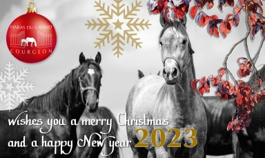 MERRY CHRISTMAS AND HAPPY NEW YEAR 2023