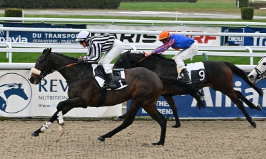 DEBUT D'ANNÉE VICTORIEUX POUR PRINCE ANODIN