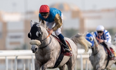 DOUBLE AT DOHA FOR THE GRAND COURGEON PROGENIES