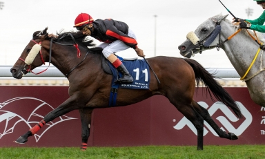 THE SON OF AL DAHMA AND AZADI WINNER AT AL UQDA