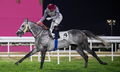 SHALAA : RETOUR SOUS LES PROJECTEURS