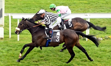 THE GRAND COURGEON COLORS SHINED AT BORDEAUX