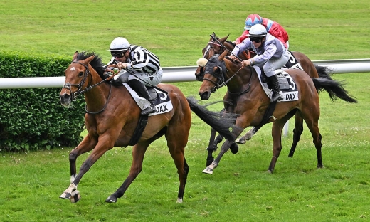 A NEW WINNER IN THE GRAND COURGEON STUD COLORS