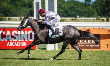 AL AFREETAH OUVRE SON PALMARES