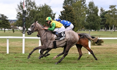 DIVANA CHICA VICTORIEUSE À TARBES
