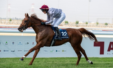 PREMIERE VICTOIRE POUR ANASHEED