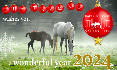 THE GRAND COURGEON STUD WISHES YOU A WONDERFUL YEAR 2024