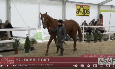 BUBBLE GIFT AT THE 2024 STALLIONS SHOW AT LE LION D'ANGERS