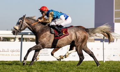 VICTORIOUS DEBUTS FOR RAED