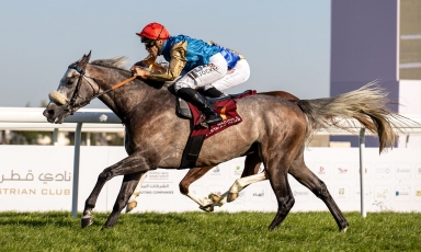 DEBUTS VICTORIEUX POUR RAED