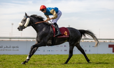 ONE MORE WIN FOR ZAKADIR