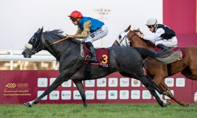 FIN DE SAISON VICTORIEUSE POUR ZAKADIR