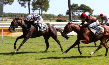 FIRST SUCCESS FOR THE GRAND COURGEON OWNED HOLY WOODED