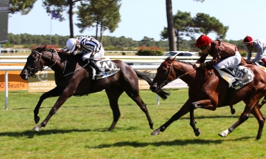 PREMIER SUCCÈS DE LA REPRÉSENTANTE DU HARAS DU GRAND...