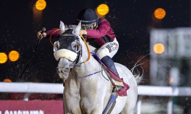 VICTORIOUS SEASONAL REAPPEARANCE FOR AKMAR