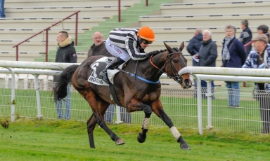 SECONDE VICTOIRE SUR LES HAIES POUR MOON CURSE