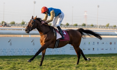 VICTORIOUS SEASONAL REAPPEARANCE FOR JABALAH