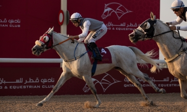 L'ÉLÈVE DU GRAND COURGEON SUN AMER VICTORIEUX À AL UQDA