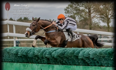 FIRST STEEPLE CHASE SUCCESS FOR MOON CURSE