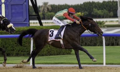 SALB TOUJOURS EN GRANDE FORME