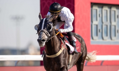 FIRST SUCCESS FOR THE GRAND COURGEON BRED DUKE OF MONLAU