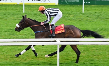 QUATRIÈME VICTOIRE CONSÉCUTIVE POUR MOON CURSE