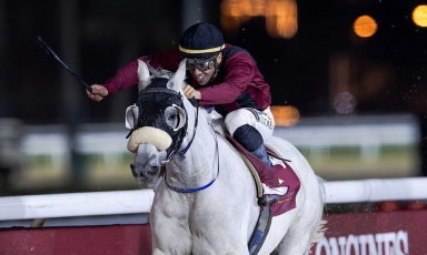A DOUBLE FOR THE GRAND COURGEON OFFSPRING