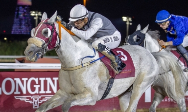 A NEW SUCCESS AT DOHA FOR THE GRAND COURGEON BRED SUN AMER