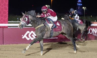 MESAIEED GOT HIS FIRST HANDICAP RACE SUCCESS