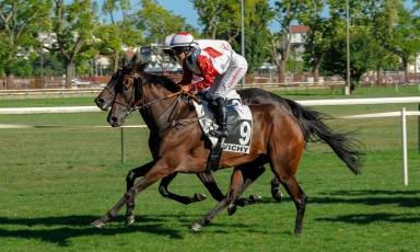 A NEW SUCCESS ON THE AL HABISSET BOARD