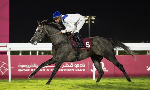 A SECOND WINNER IN QATAR FOR YAZEED