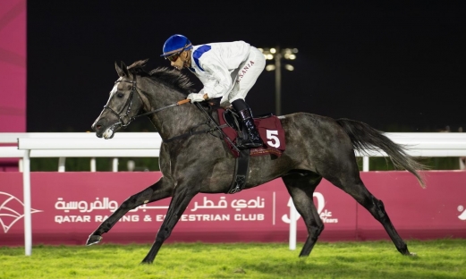 SECOND GAGNANT AU QATAR POUR YAZEED