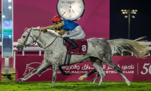 ONE MOR WINNER FOR THE STALLION YAZEED