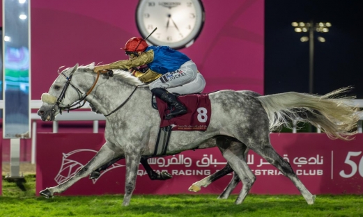 UN VAINQUEUR DE PLUS POUR L'ÉTALON YAZEED